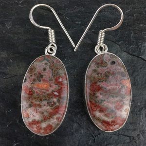 New Jasper Stone Hook Dangle Silver Earrings